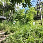 安土城⇔観音寺城の分岐点