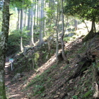 六角石垣下城道
