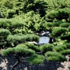 大手側からはほぼ目隠し状態
