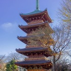 寛永寺五重塔