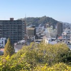 展望台から松山城