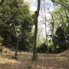 大堀切