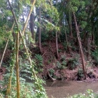 八坂神社東側から見た土塁と水堀