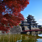 若宮八幡跡からの天守
