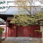 赤門