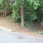 南西角の土塁と、左右の堀は道と埋め立て