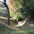 二の丸下と南の丸Ⅰ間の堀切モミジ
