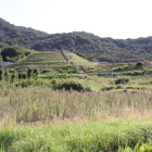 千足古墳の全景北より