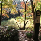 二の丸土塁上より南方向の紅葉