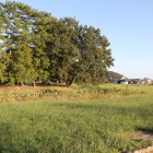 蓮池と高松城本丸松林北西側