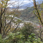同左より揖斐川峡谷を眺めるも樹木邪魔