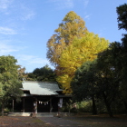 北の丸の旭ヶ丘神社と黄色い銀杏