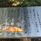 二の丸庭園