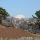 発掘調査現場と富士山①
