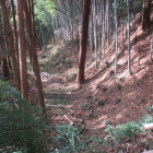 大手付近、小宮曲輪南の横堀
