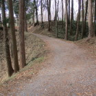東馬出側から土橋・二の丸方向