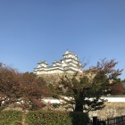 三国堀越しの天守閣