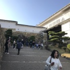 葵の門