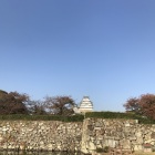 内濠からの天守
