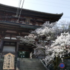 金峰山寺