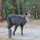 なんか昂奮してきた