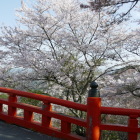 大橋