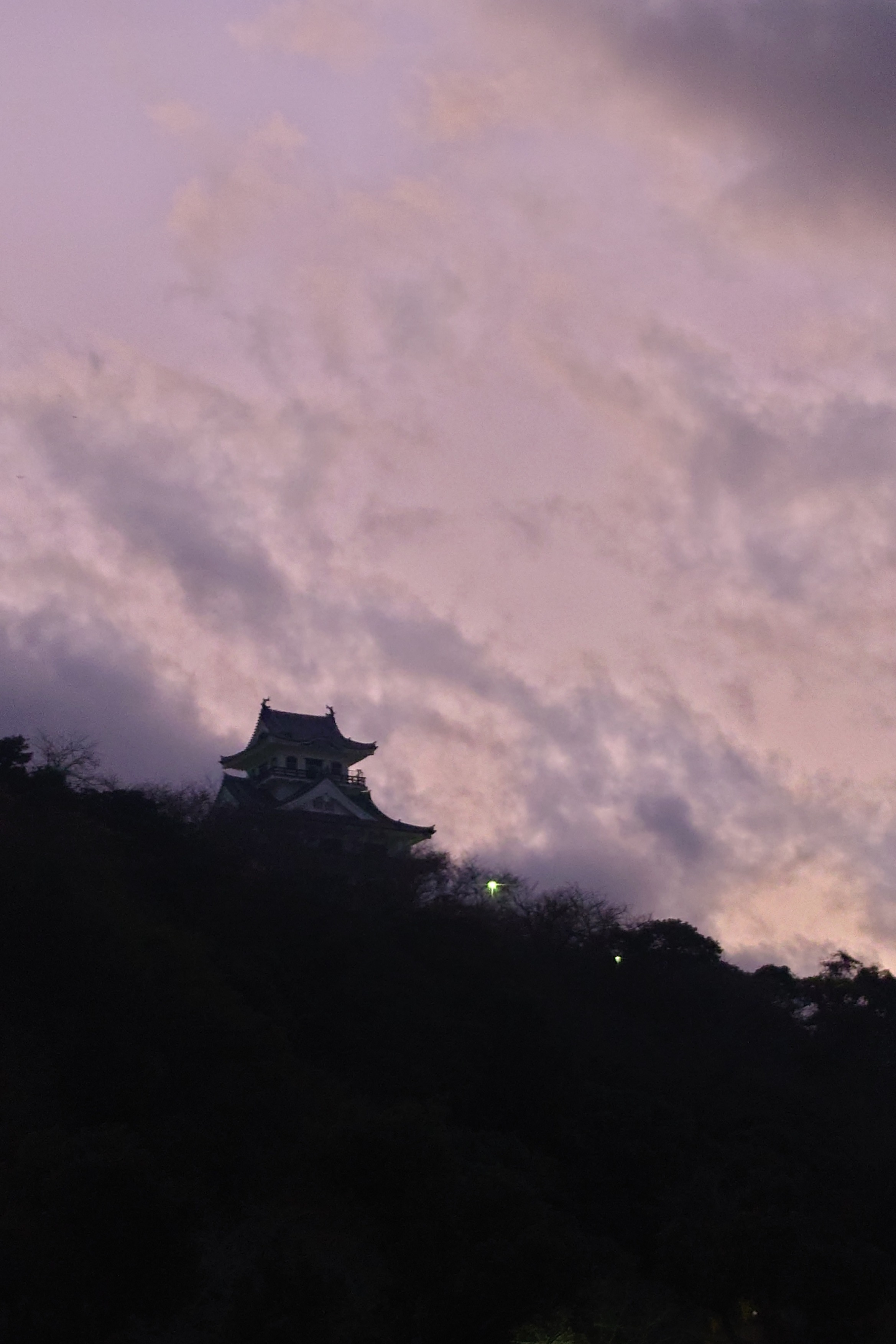 [館山城] 城びと