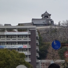 高知県庁のバックにあるお城