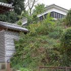 大手門練塀と土塁上の白土塀