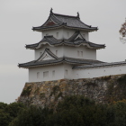 武蔵の庭園より望遠で