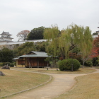 武蔵の庭園より