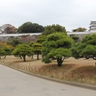 三の丸トイレ横辺り