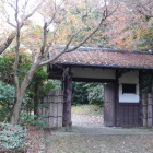 日本庭園北門、名残の落ち葉紅葉