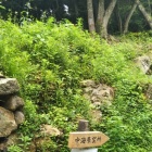 登り石垣