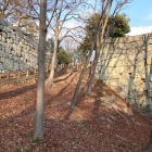 栃の木門の石垣