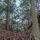 国峯城、堀切が素敵