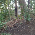 神社裏手の土塁