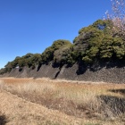本丸西側の石垣