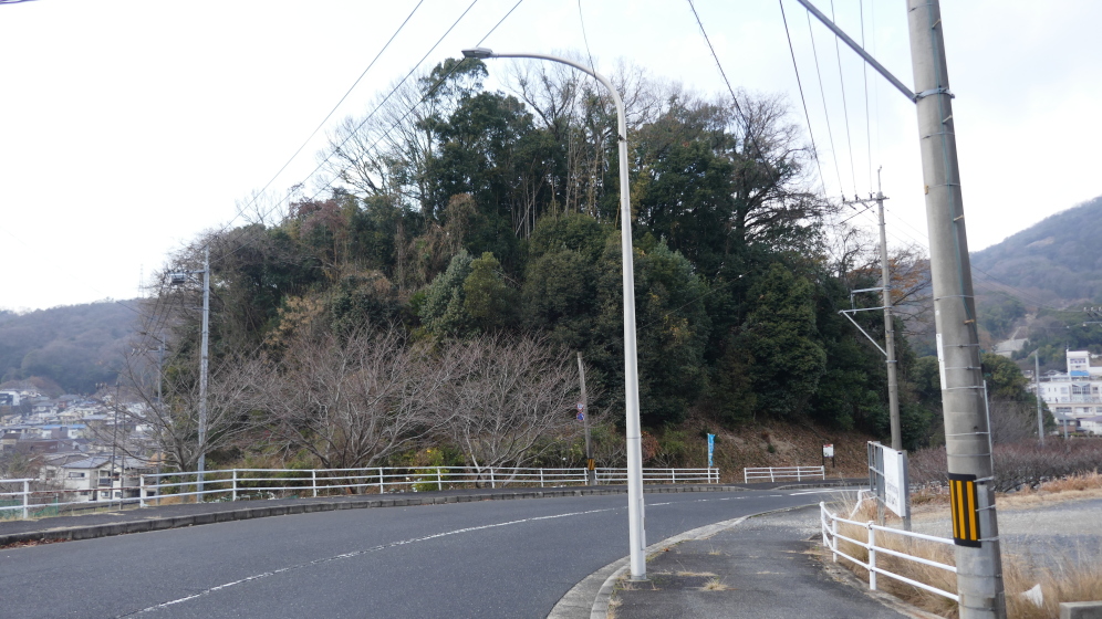 城址遠景