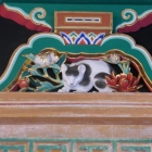 眠っているようで眠っていない眠り猫