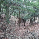 本郭土塁と堀