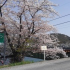 宇治川