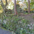 参道