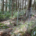 実はここから出れる