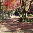 紅葉の参道