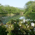 鹿野城