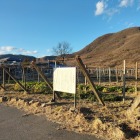 東側から全景