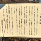 パネル