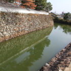 袖池と三の丸石垣と土塀