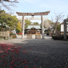 本丸・巴江神社鳥居と神社石碑